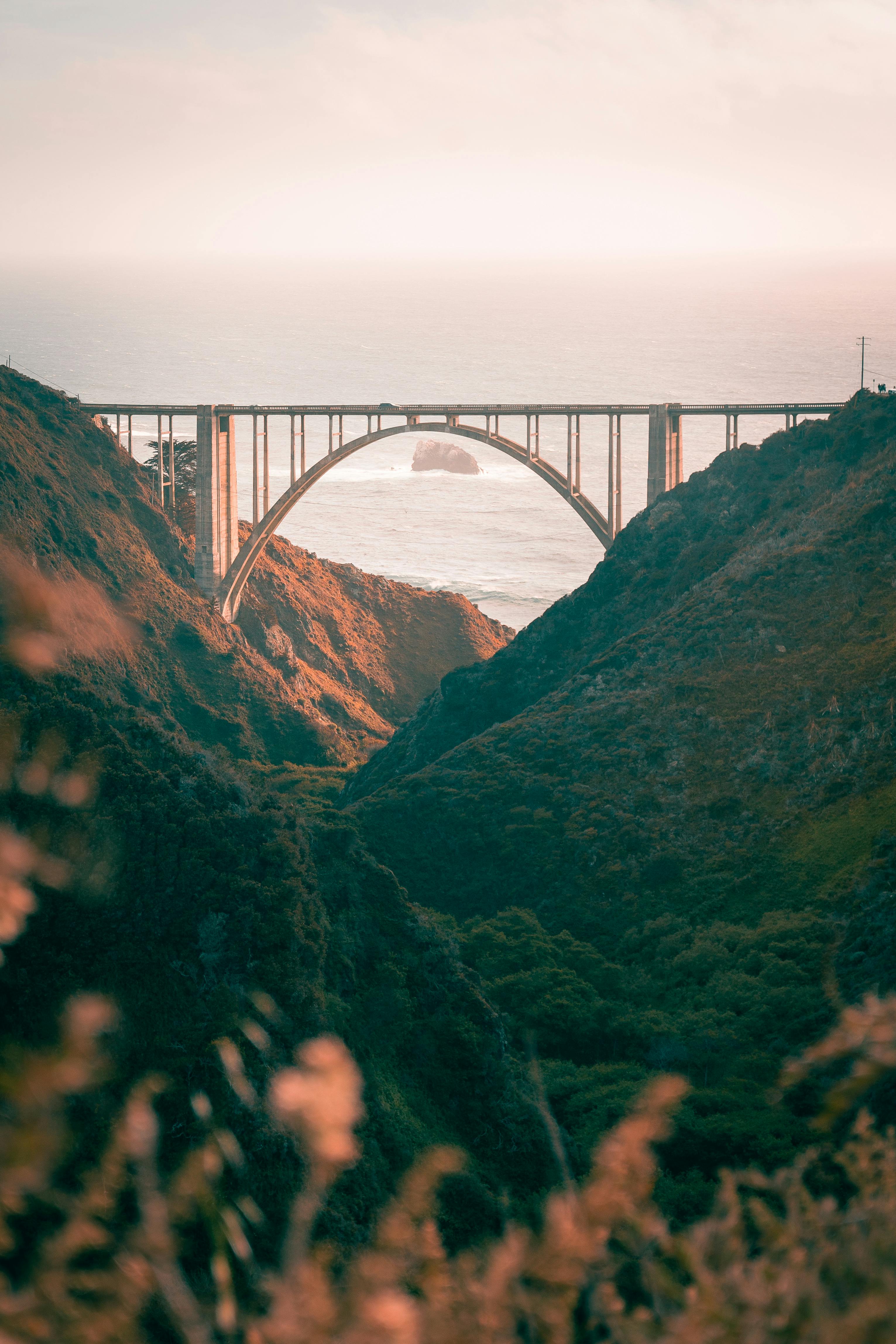 Home Services & Local Business